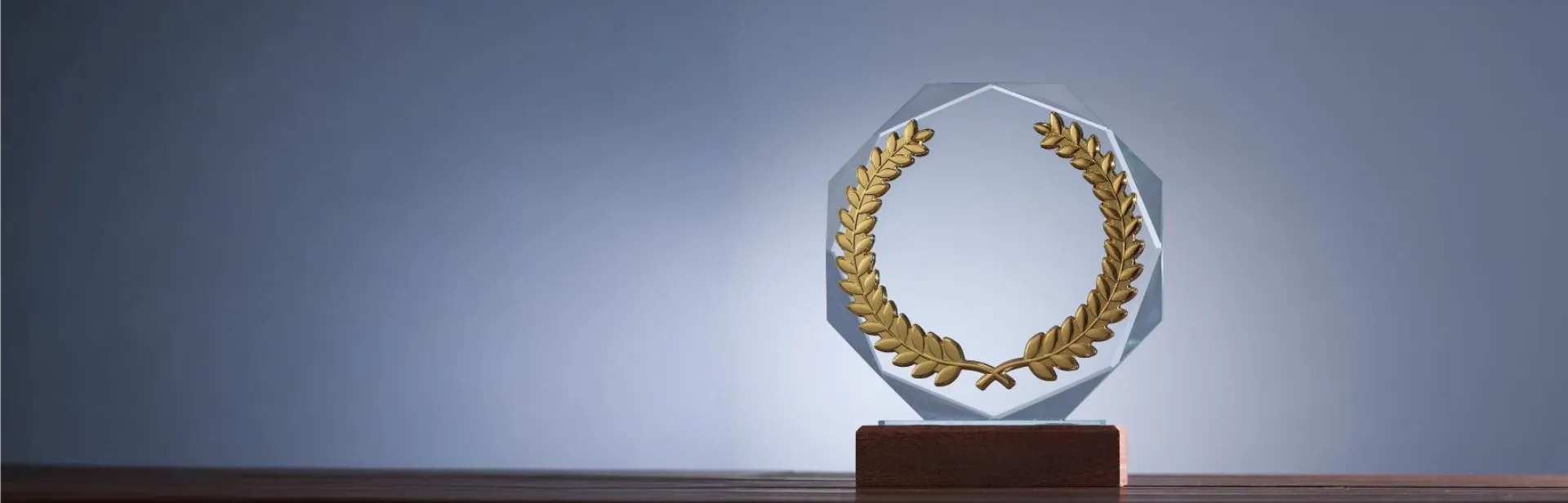 Our Experienced Educator